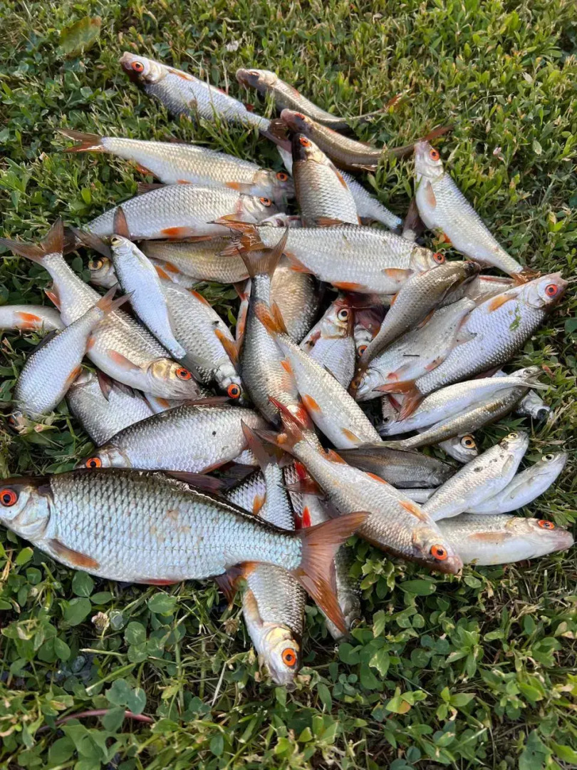 Жилое помещение Dao View Ясные просторы