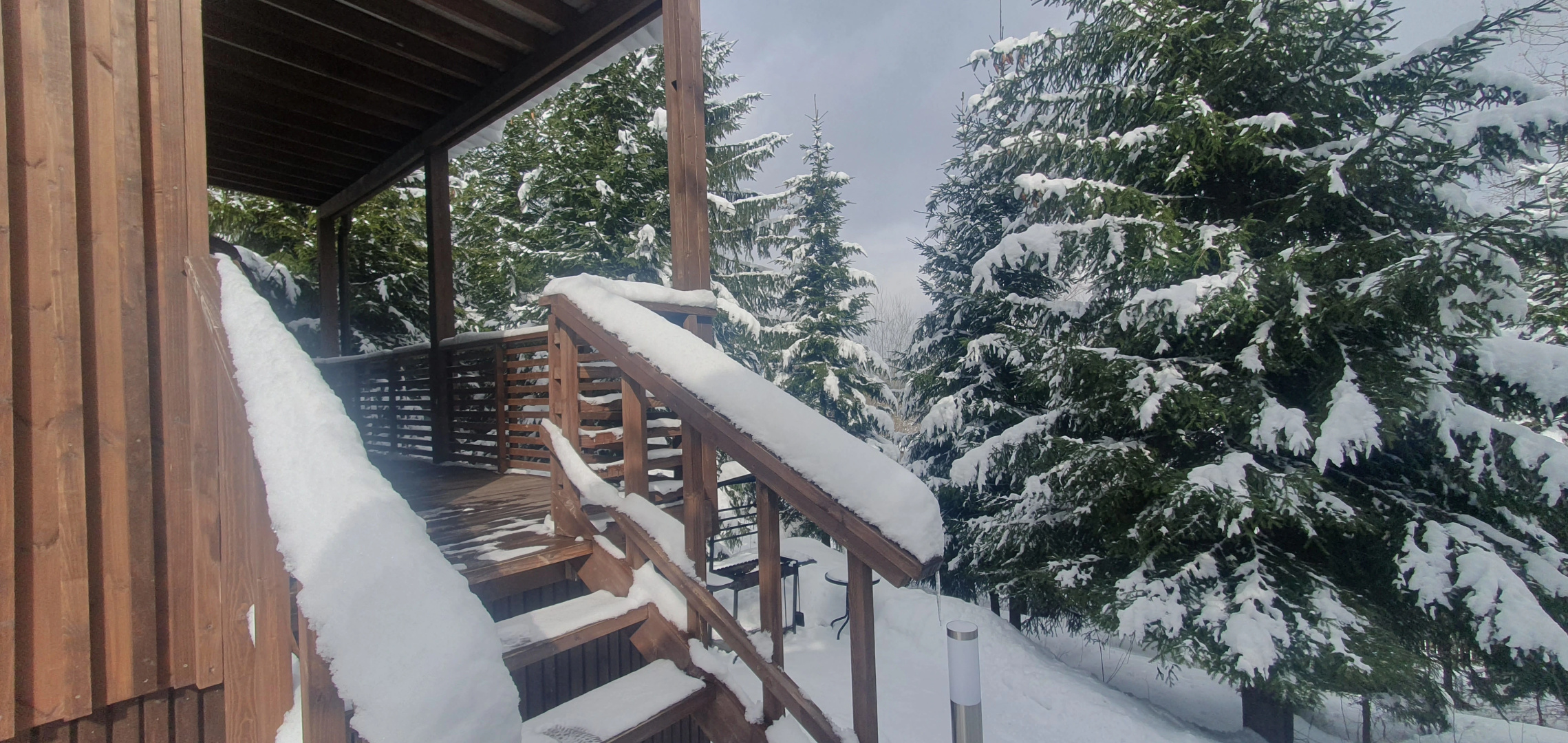 Коттедж Черничный Склон Forest House