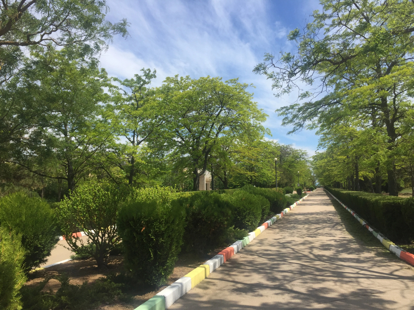 Санаторий Международный Детский Медицинский Центр Чайка