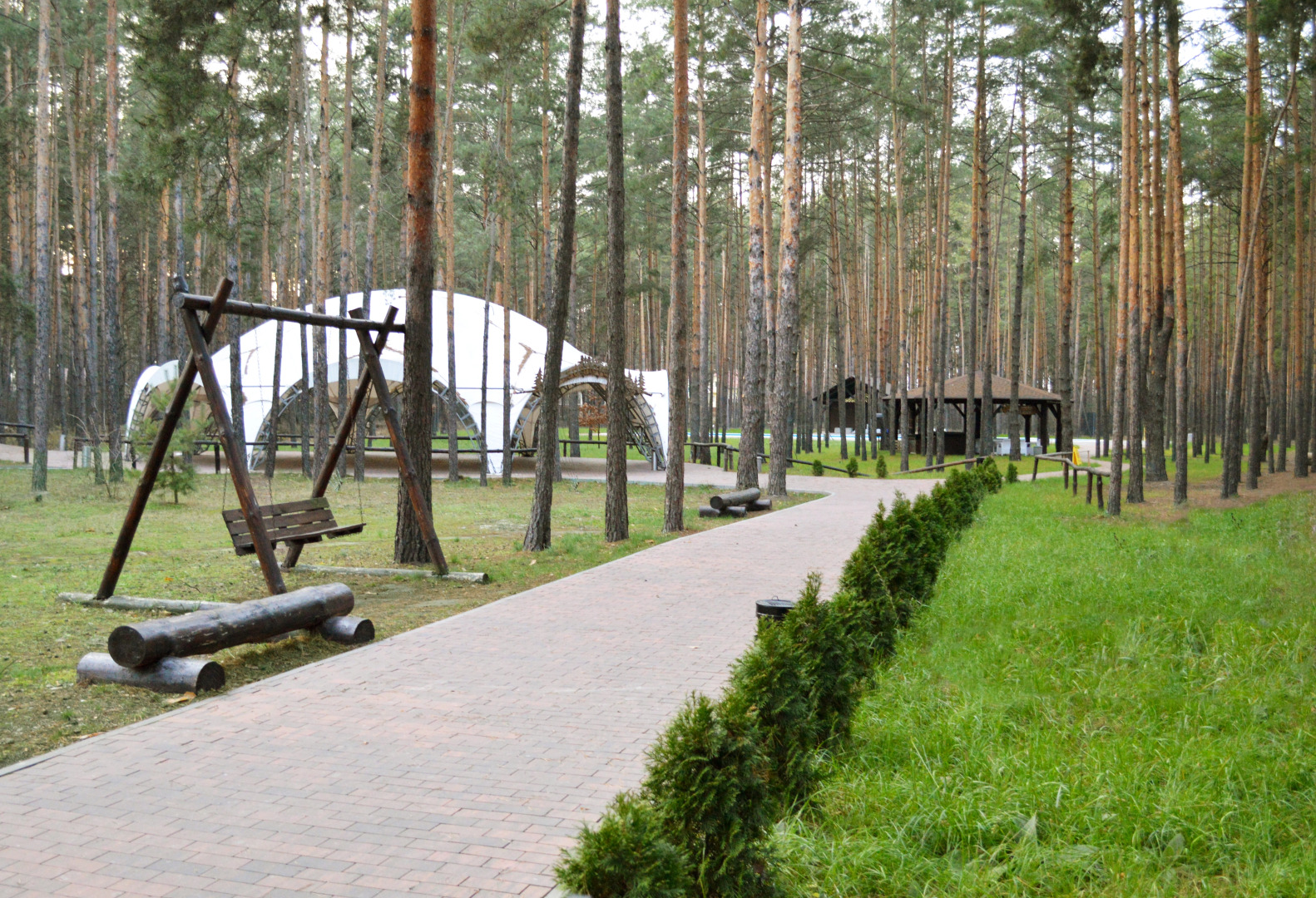 База отдыха Sosnovel