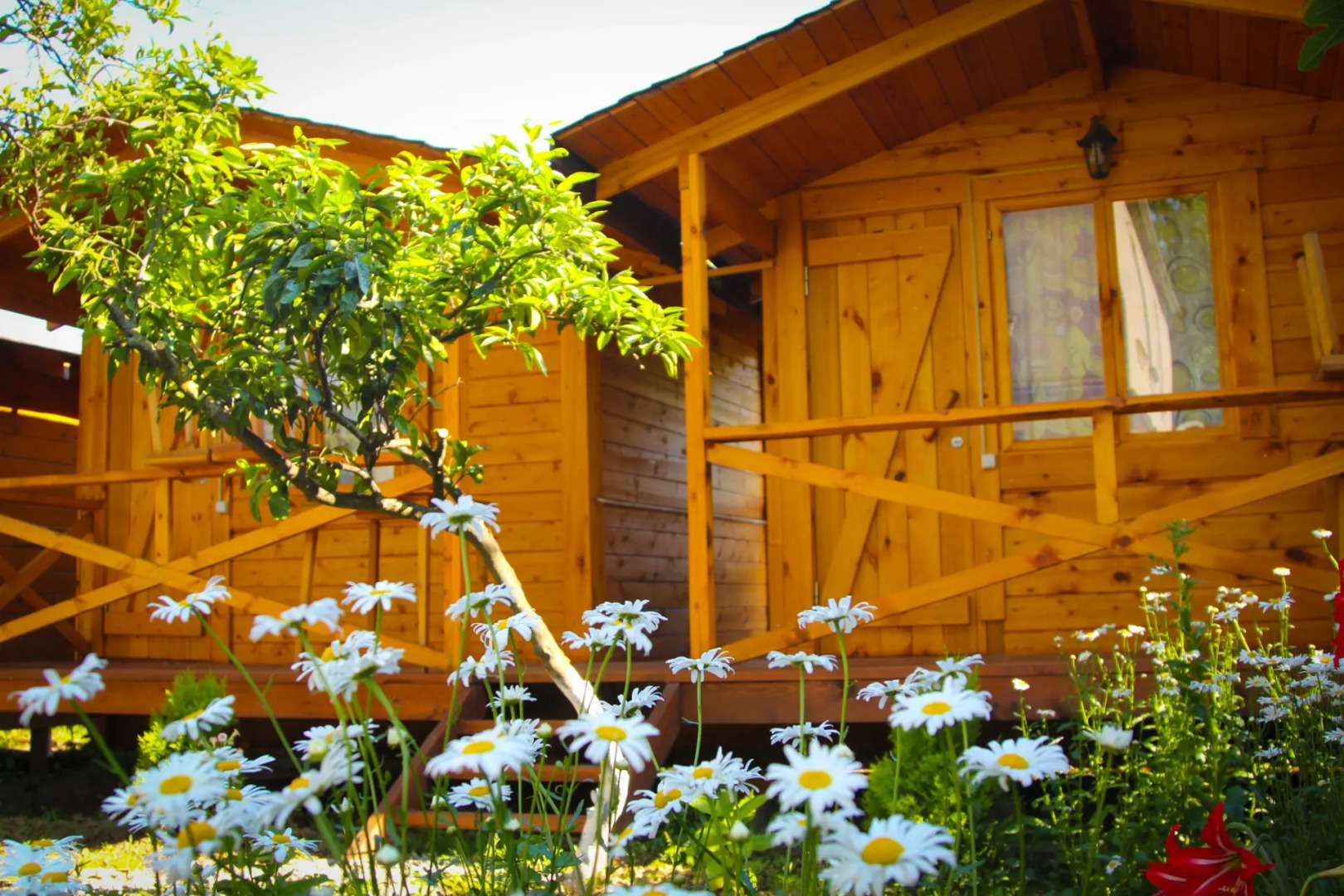 База отдыха Теремки