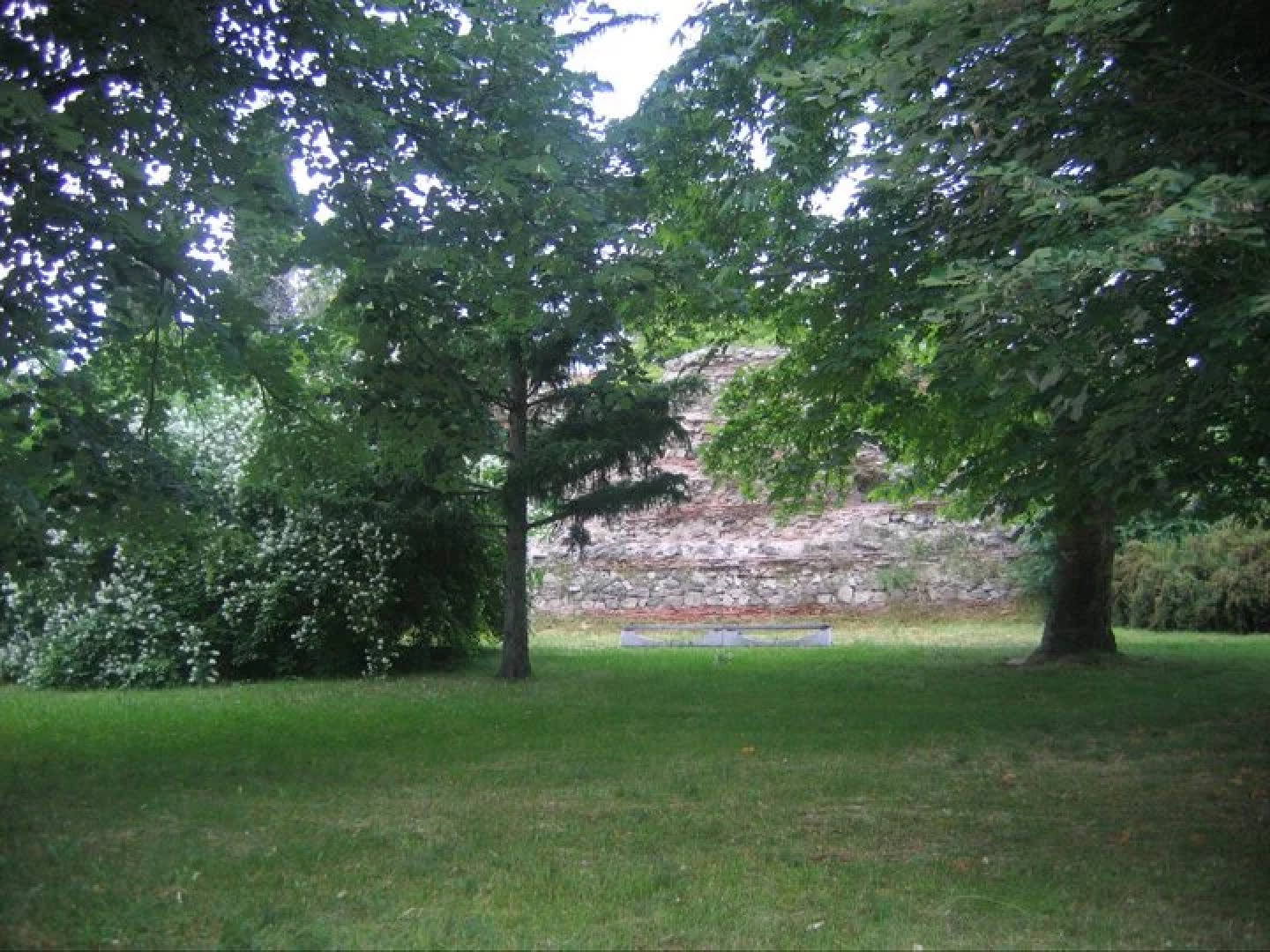 Отель Чинар