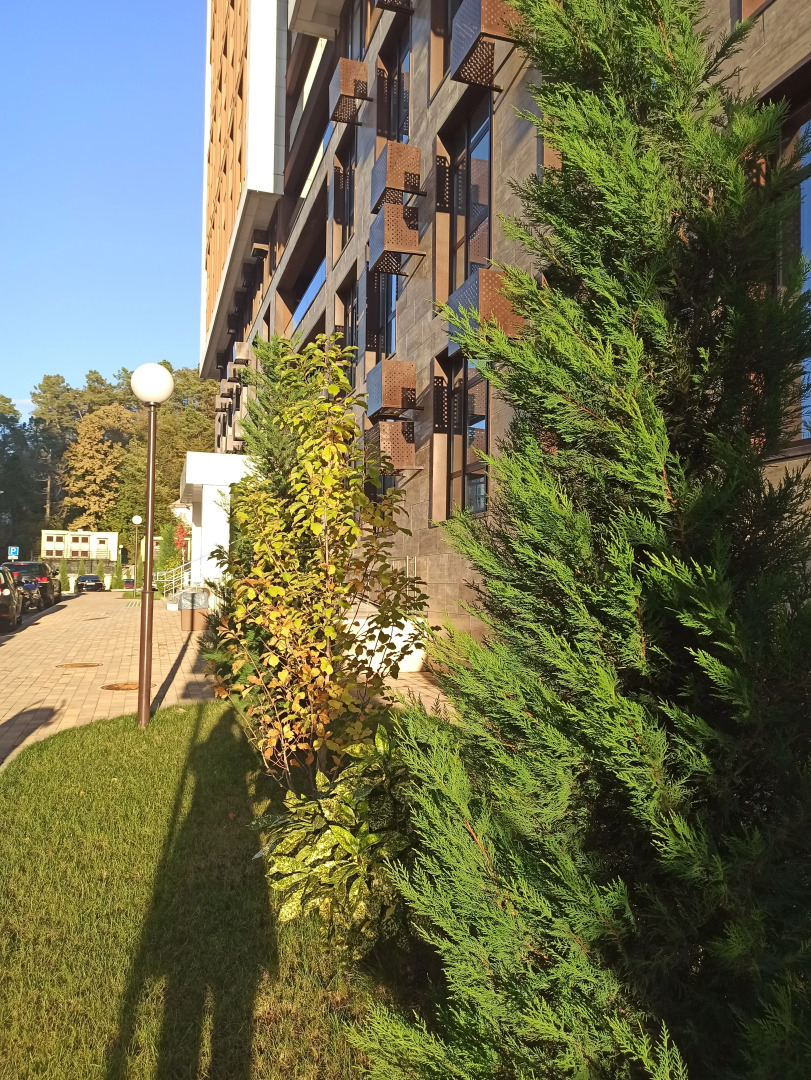 Апартаменты Бизнес класса ЖК Аллея парк