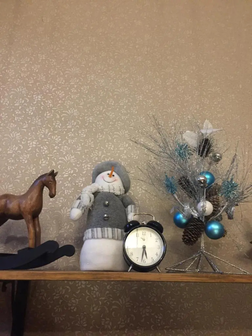 Отель Женева