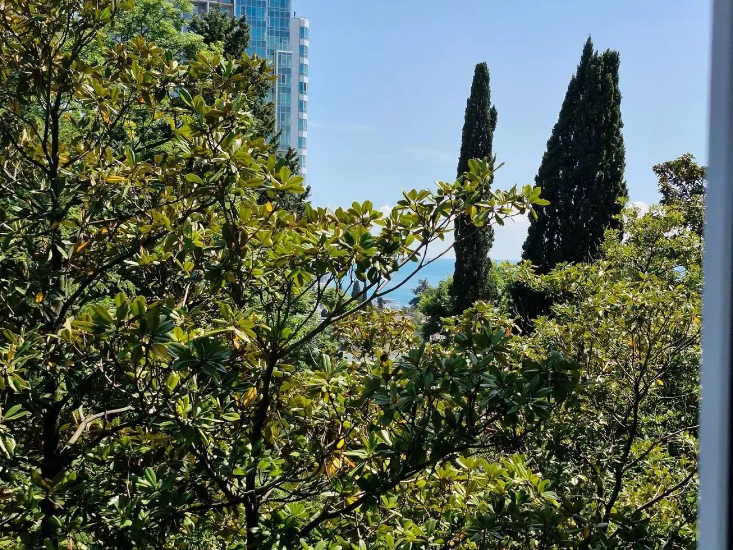 Апартаменты Пальма 1