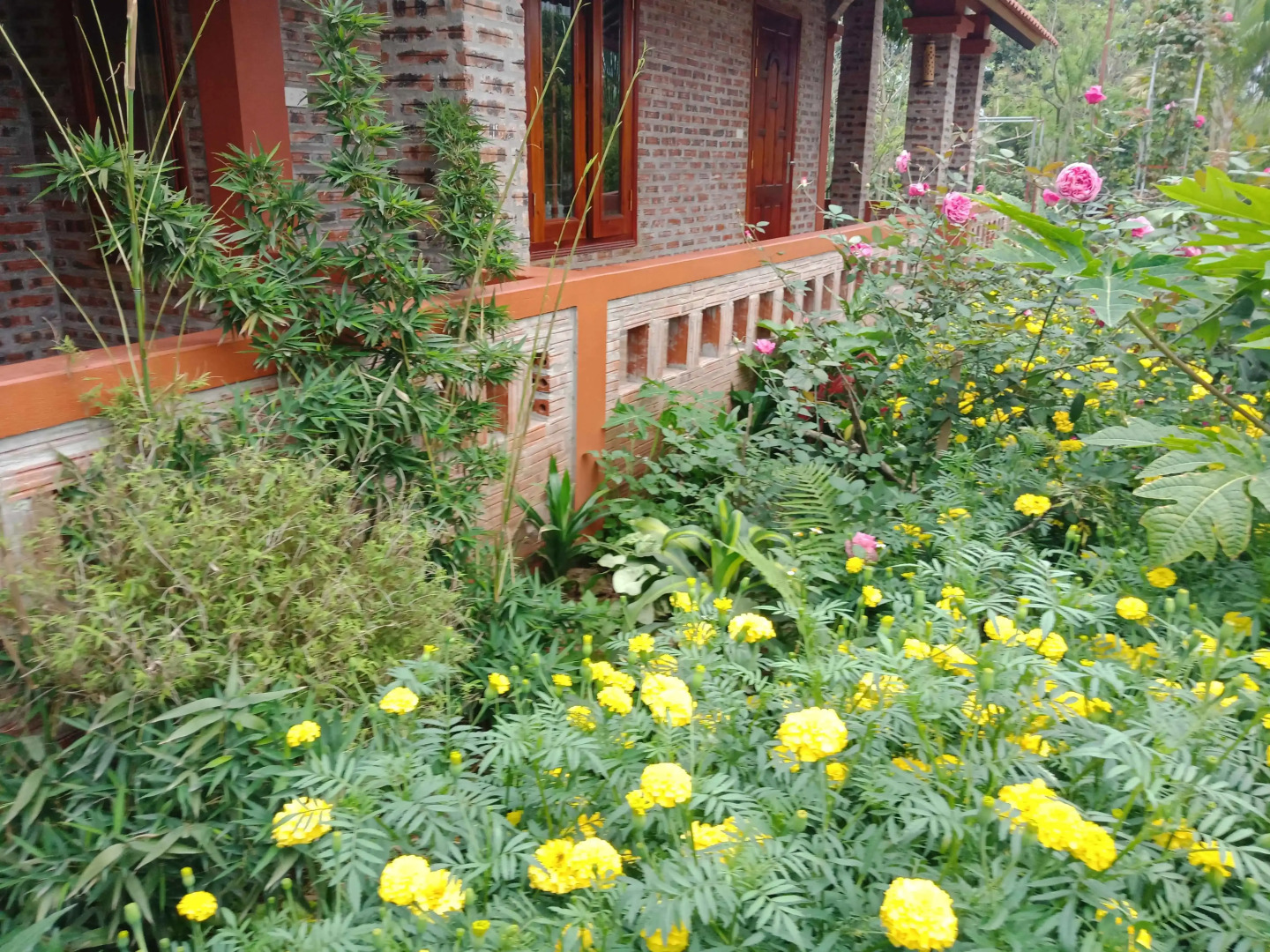 Отель Ninh Binh Eco Garden