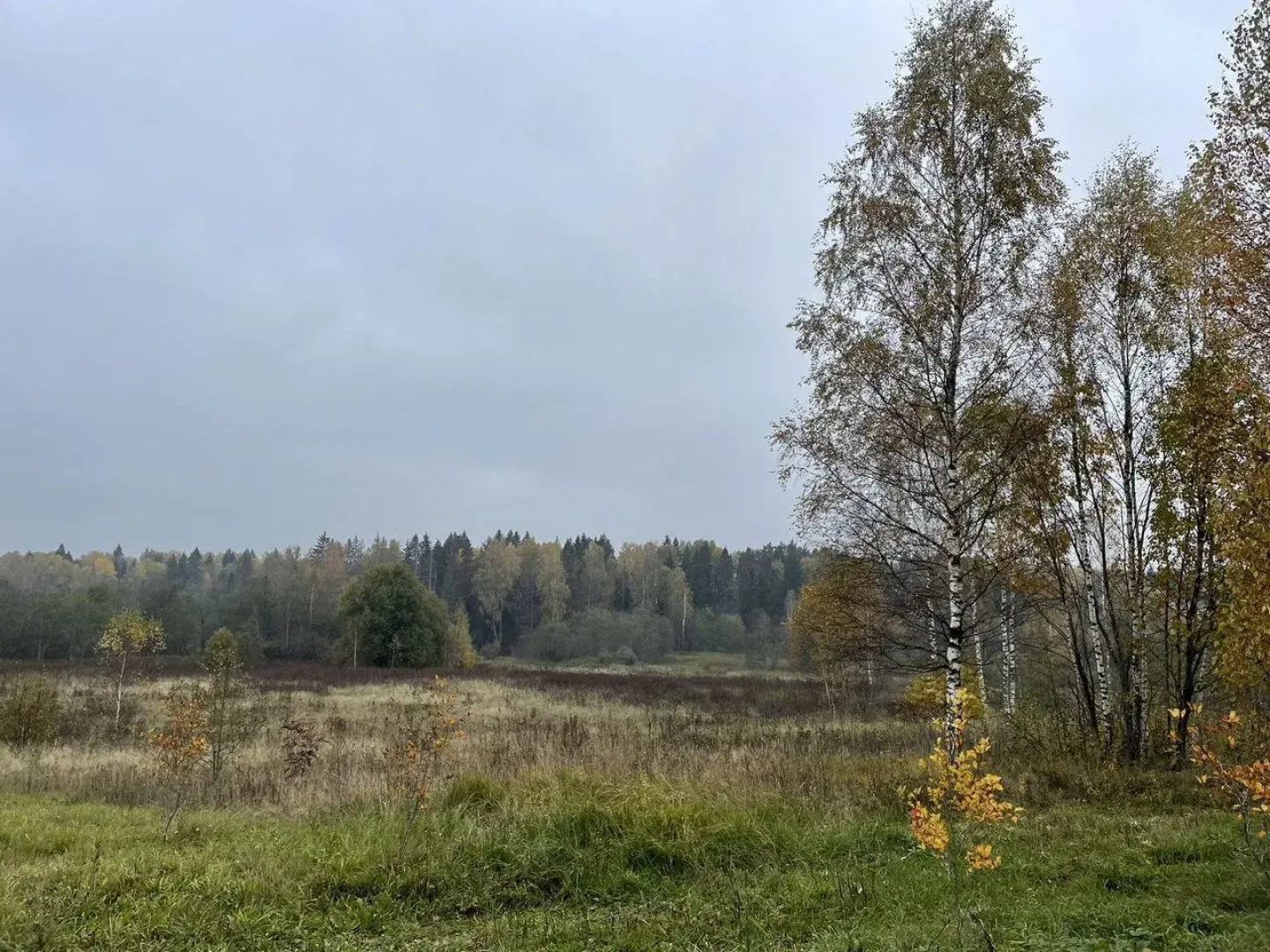 Частный дом на на берегу реки Руза