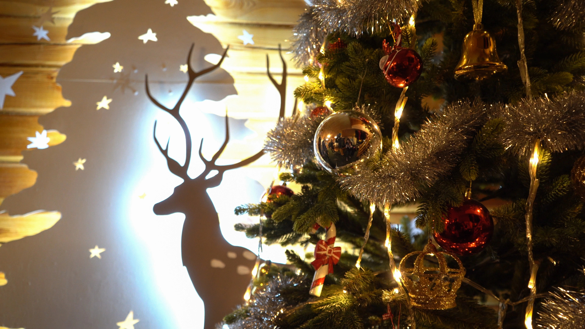 Гостевой дом Экстрим Клуб