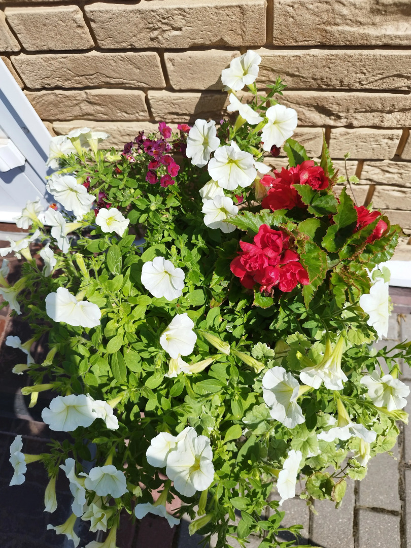 Частный Дом S Baney