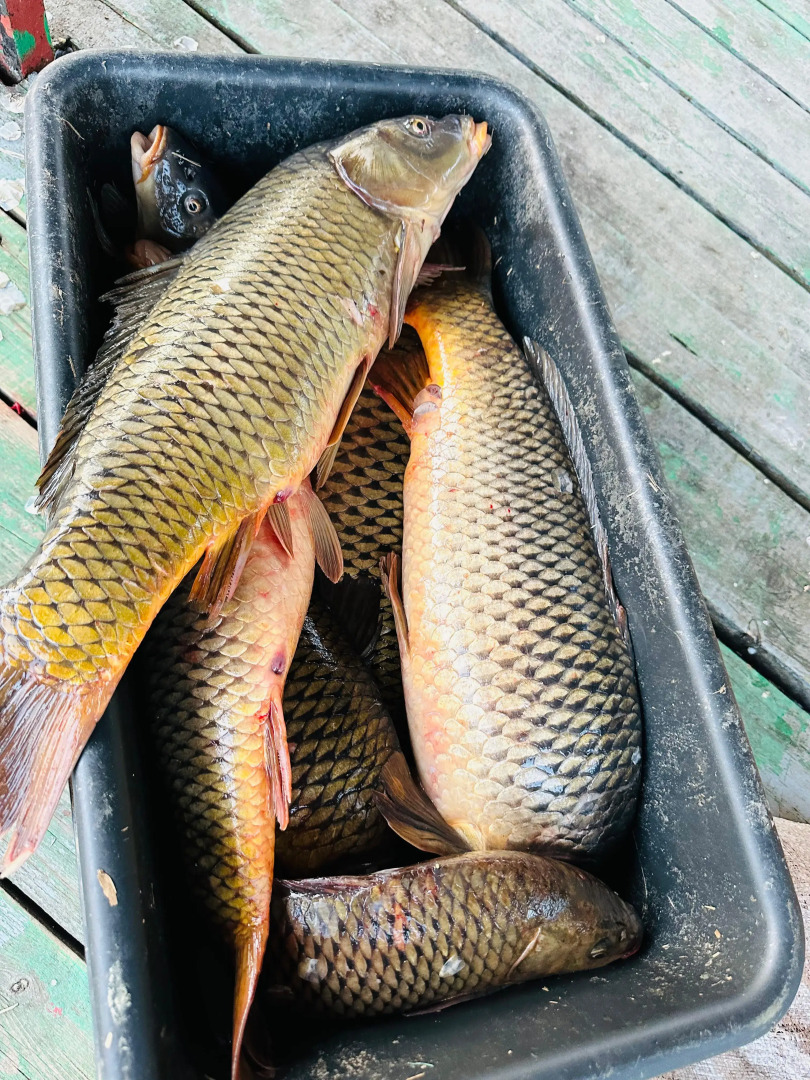 Отель Клевое место