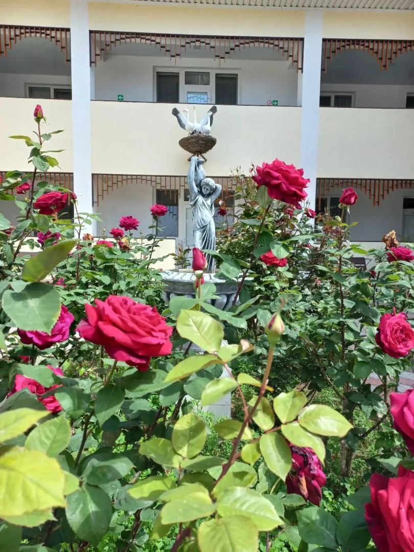 Мини-отель Якорь