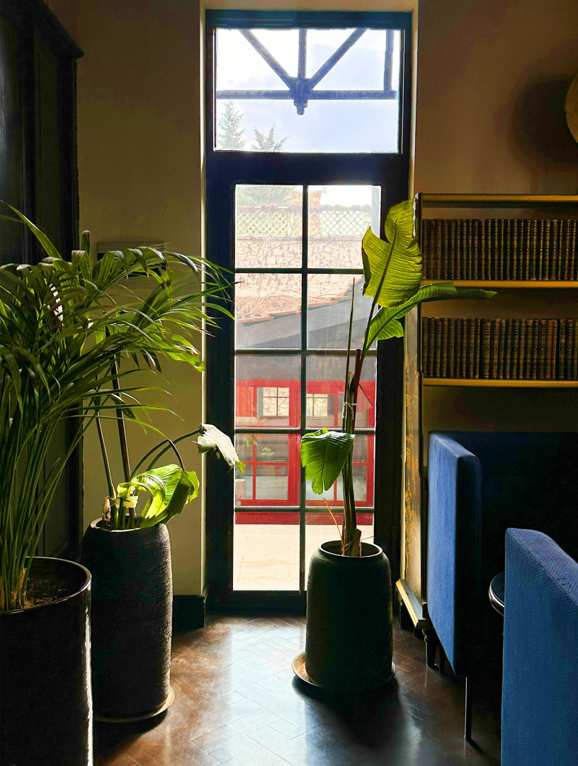 Отель Reikartz City Tbilisi Hotel