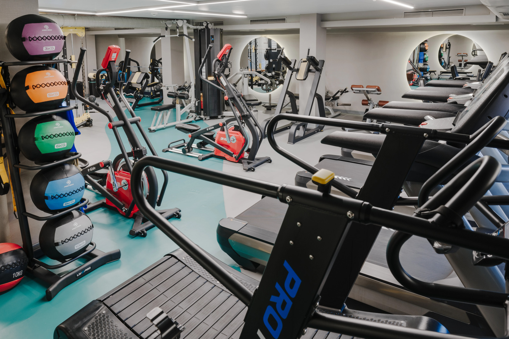 Отель The Arkin Colony