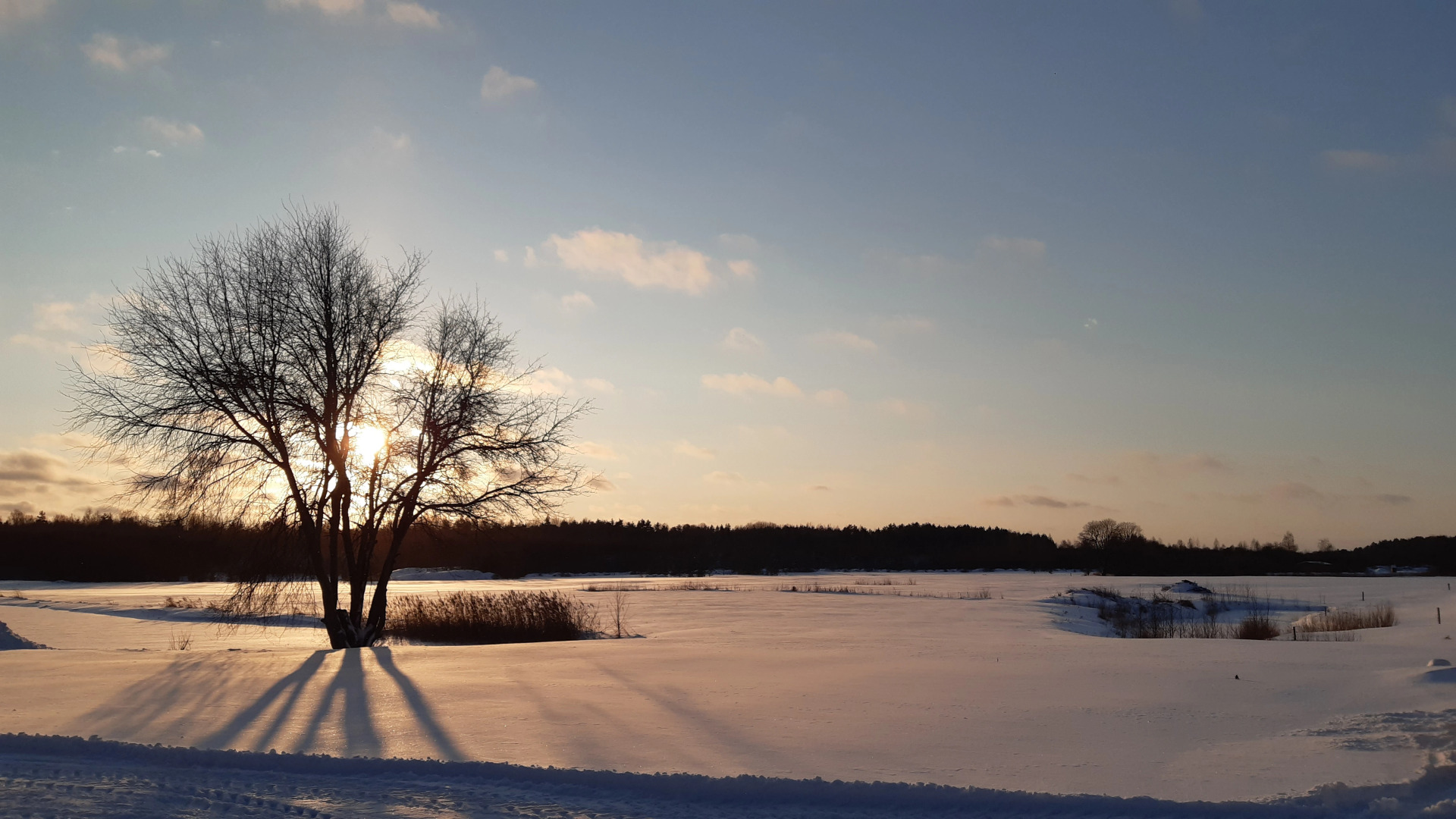 Гостевой дом в деревне Чернокуново
