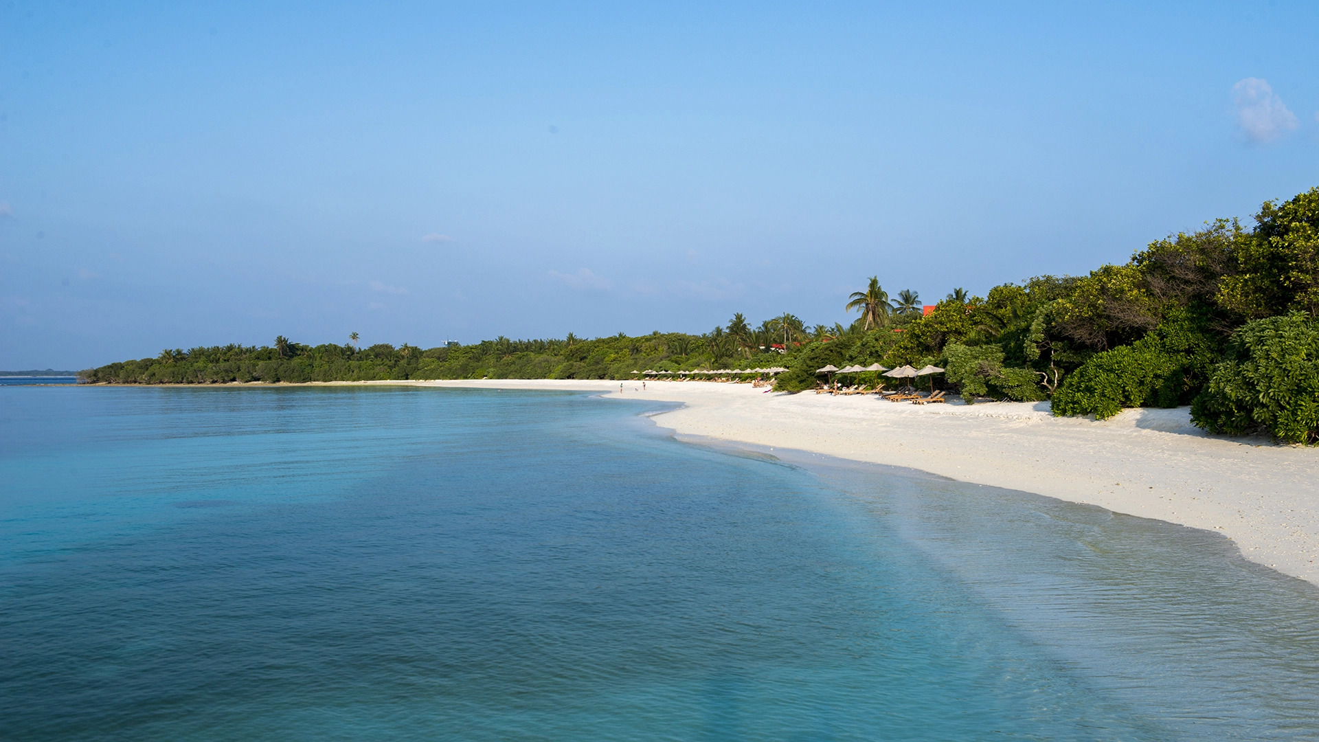 Отель The Barefoot Eco