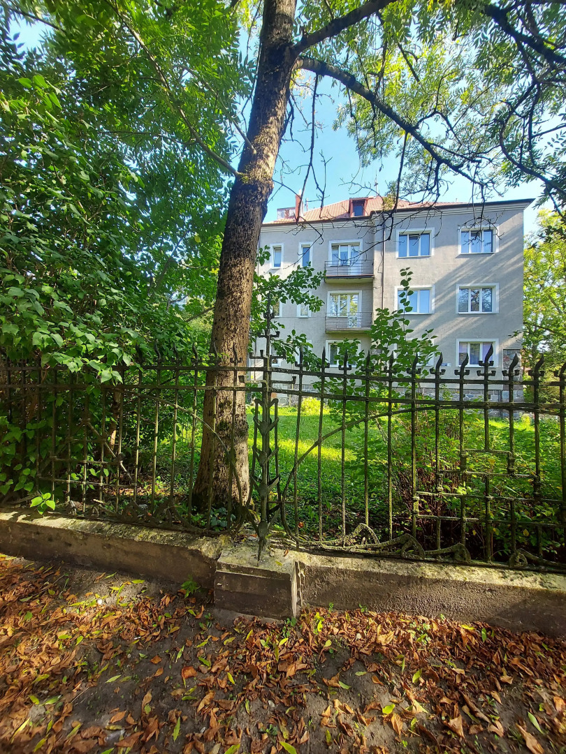 Квартира Белка