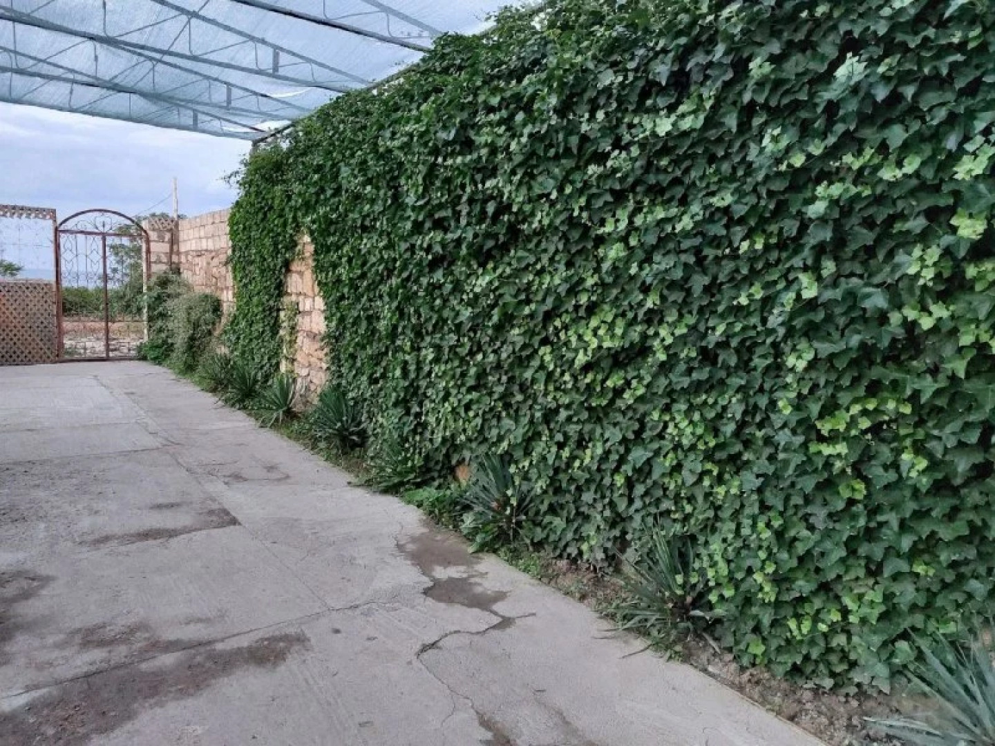 Гостевой дом Олимп