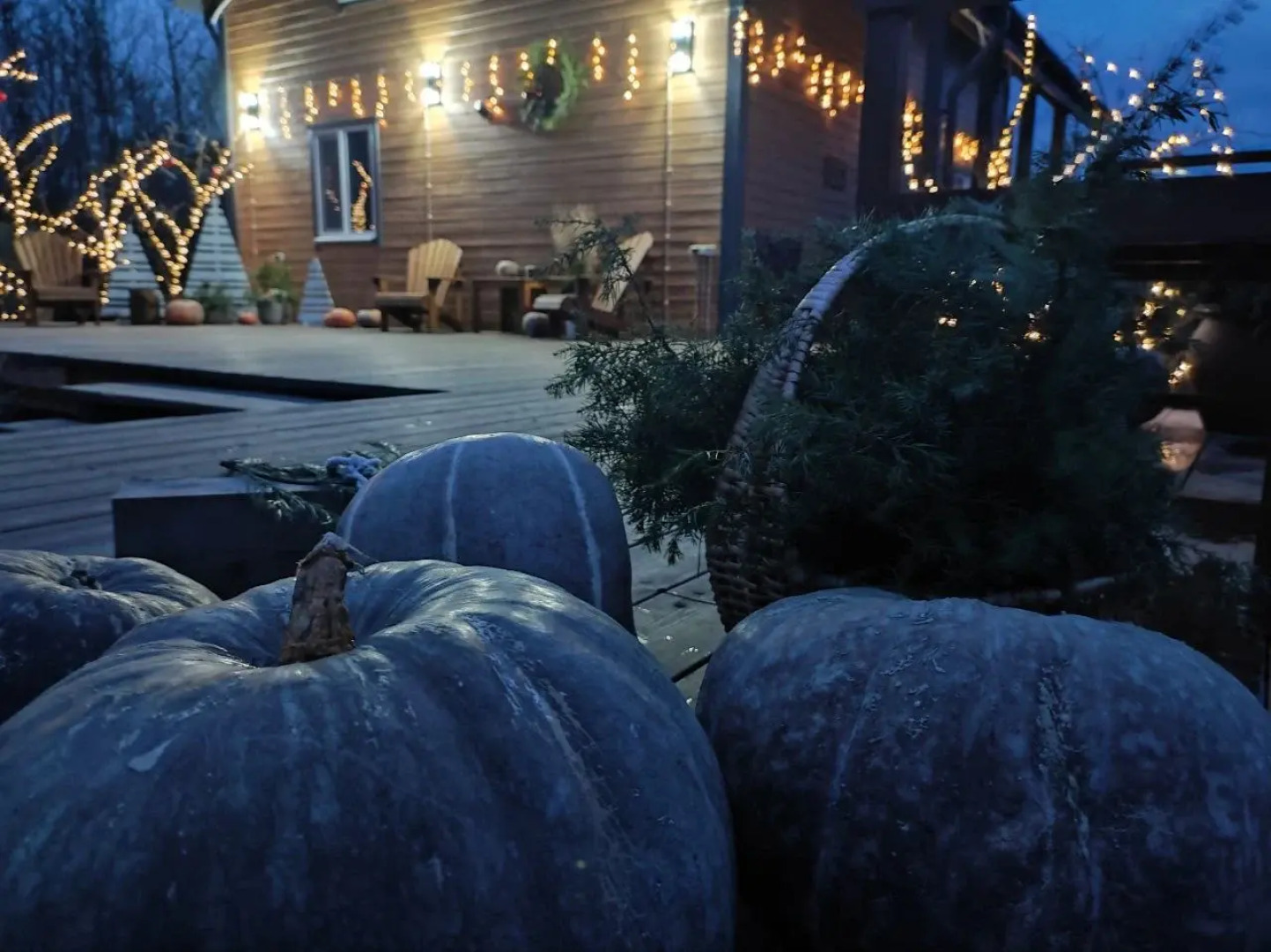 Частный дом Гостевой Дом Лисы