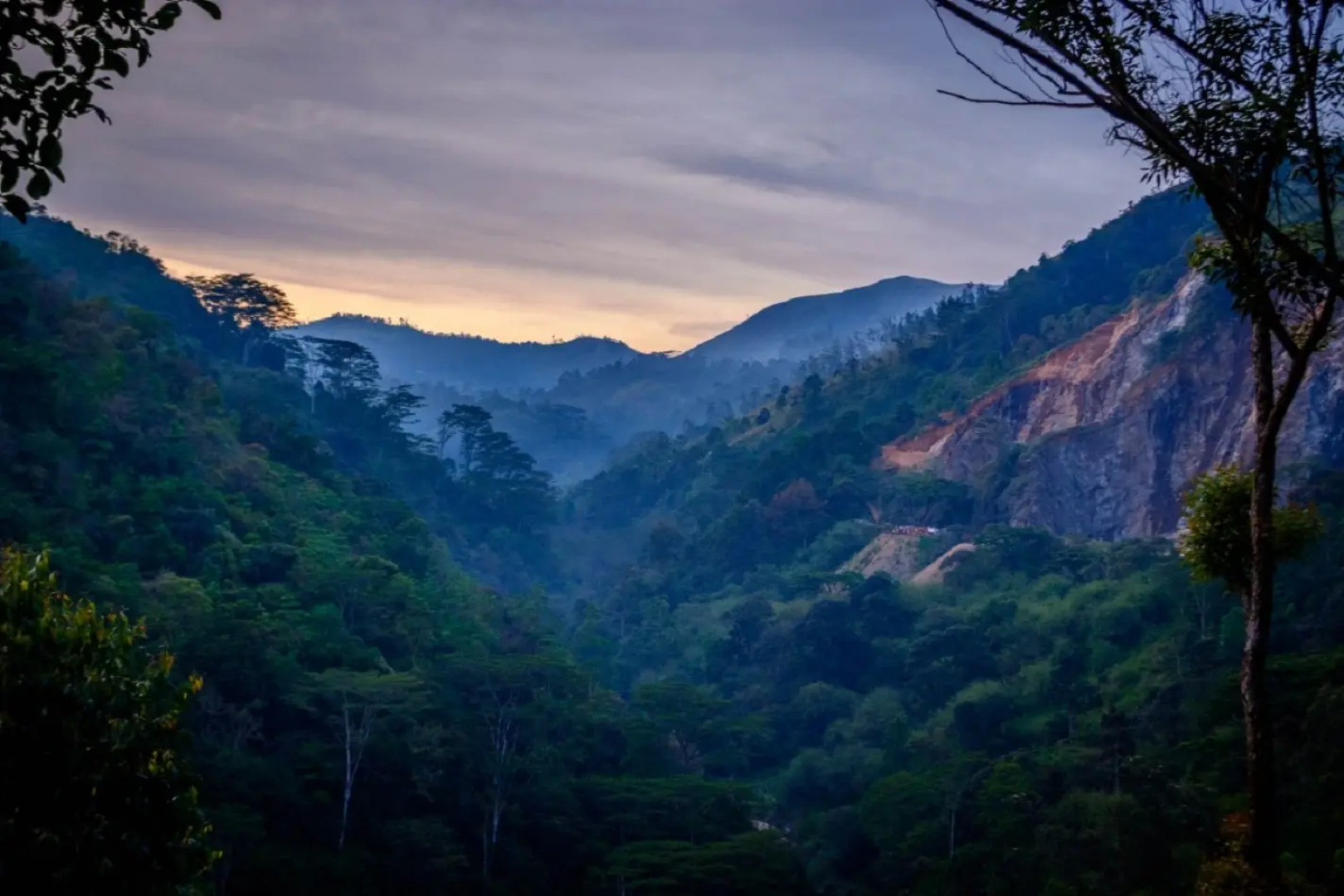 Отель The Tea Cottage Resort & Spa