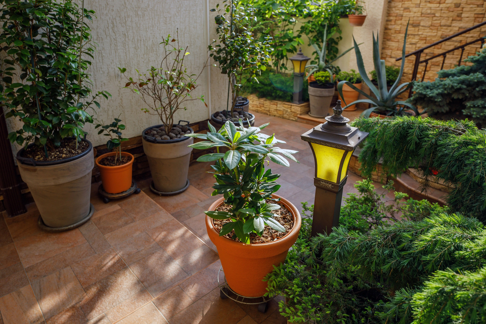 Гостевой дом Лорис