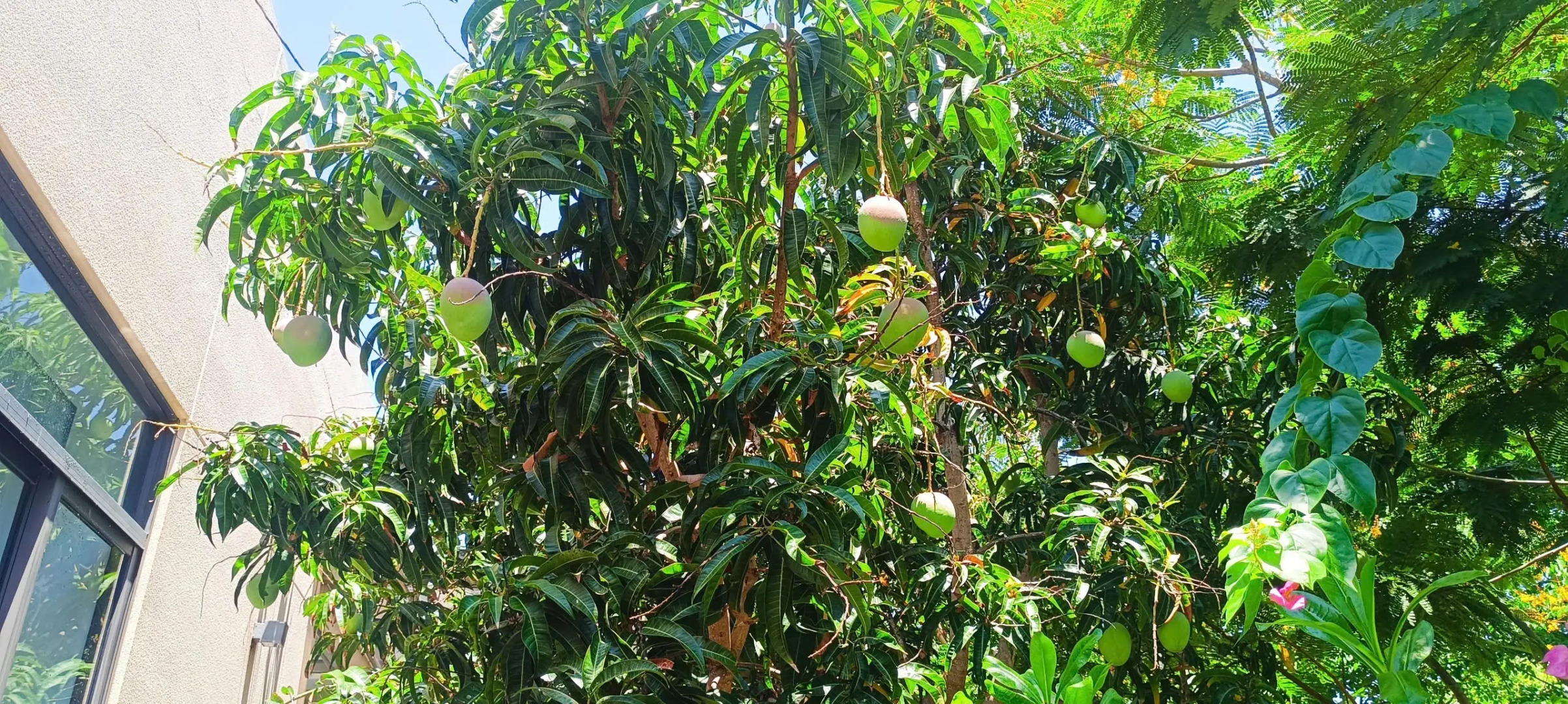 Вилла Cam Ranh Beach