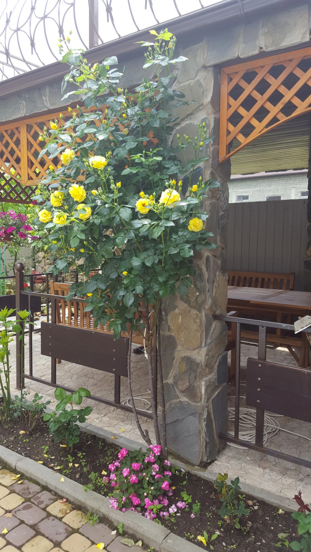 Гостевой дом Замок на Земляничной