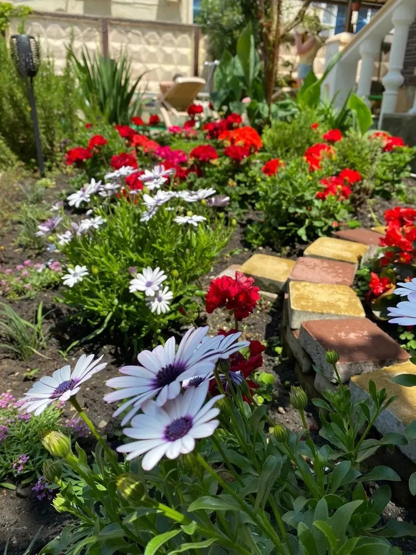 Гостевой дом Белая Березка