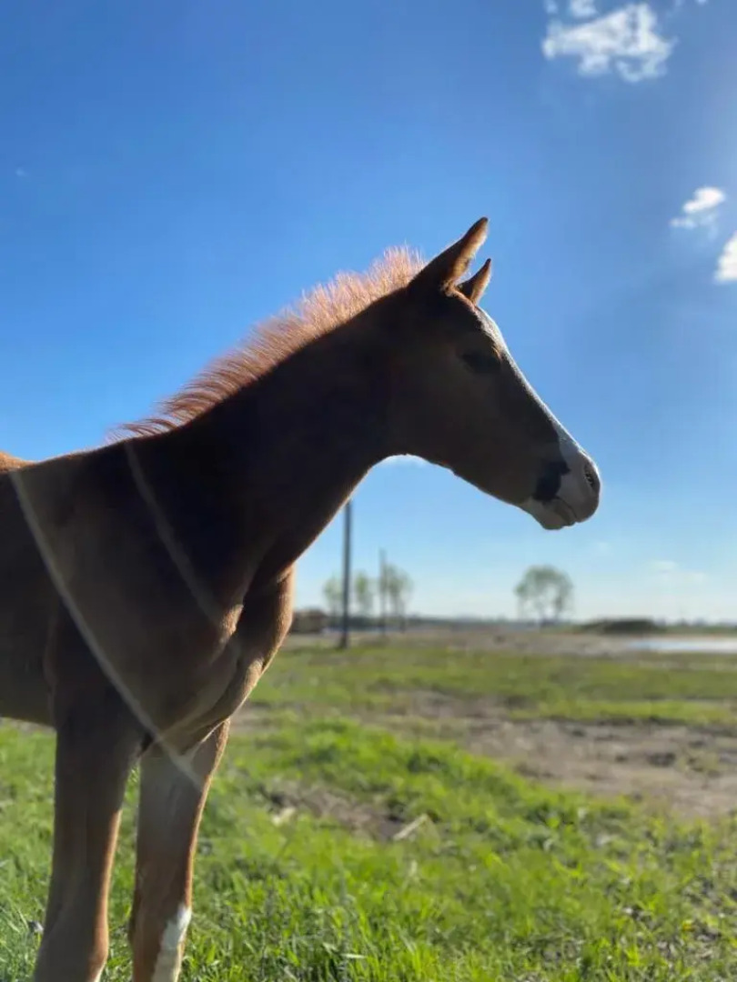 Отель Рыбацкая деревня