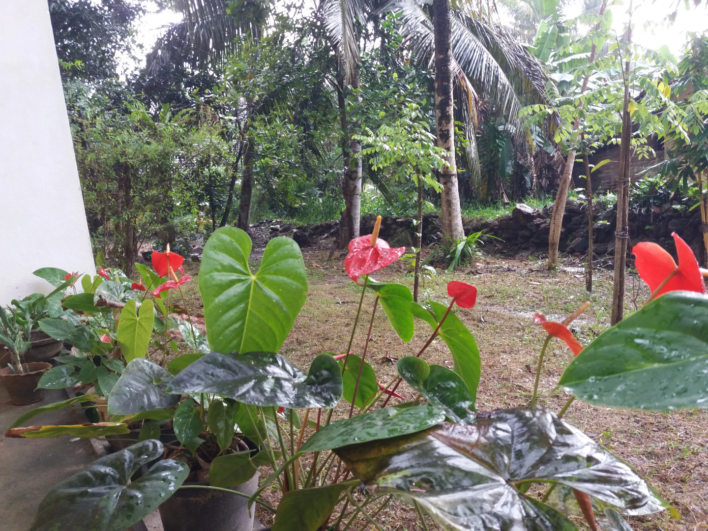 Апартаменты Villa Four Seasons 2 - One bedroom