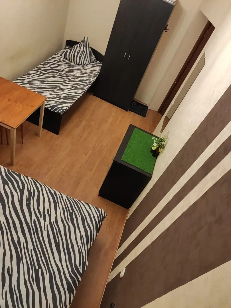 Мини-отель Zebra