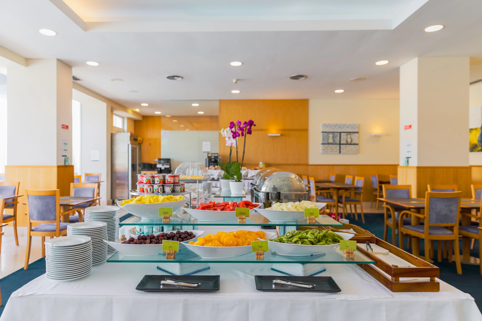 Отель MS Vila Nova