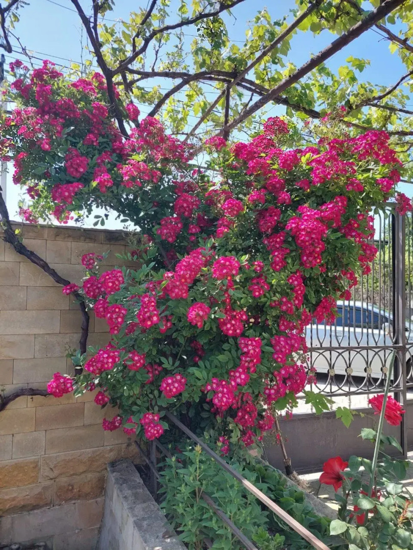 Гостевой Дом На Сосналиева 46