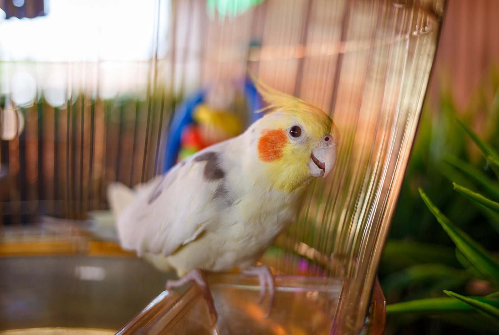 Отель Венеция