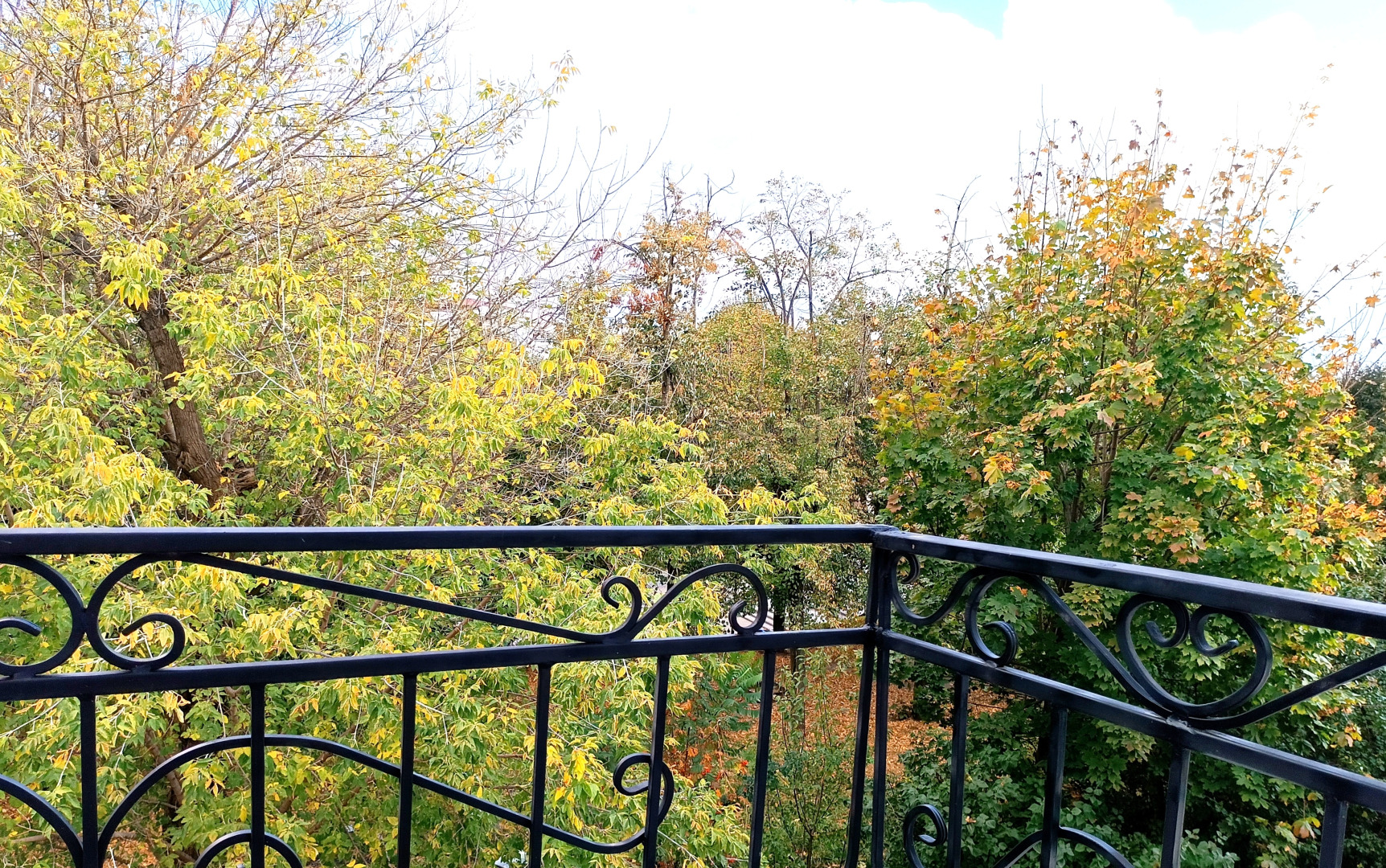 Апартаменты Botanica Сети DeNewHome у Петровского Сквера