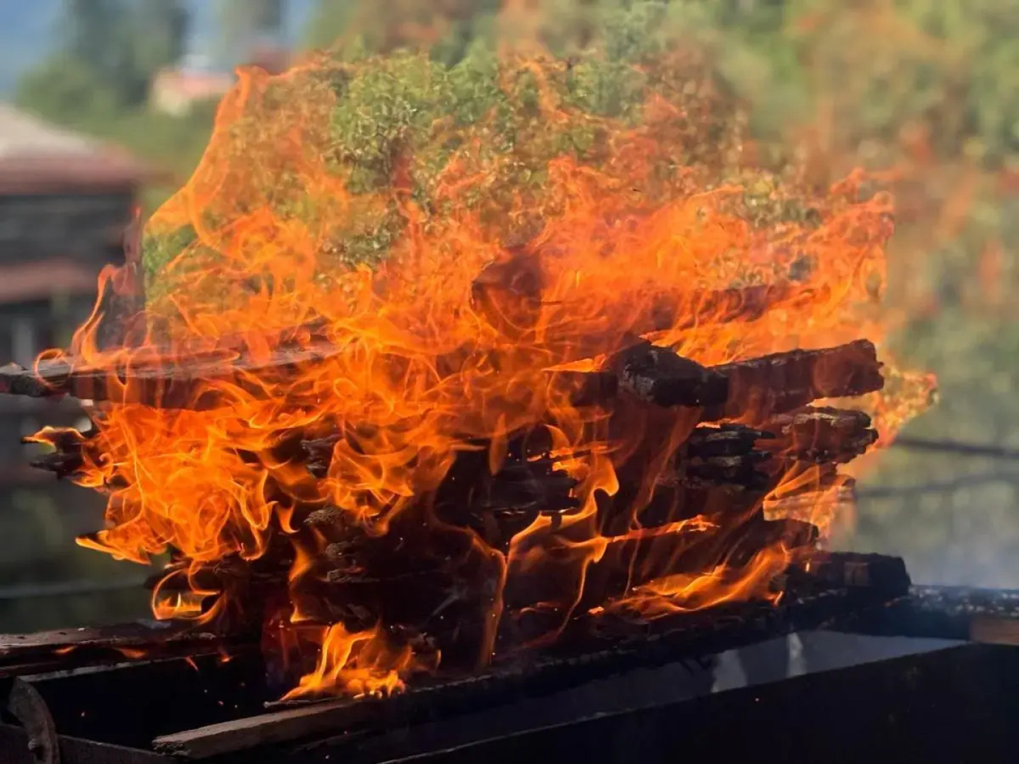 Хостел La Casa Dilijan