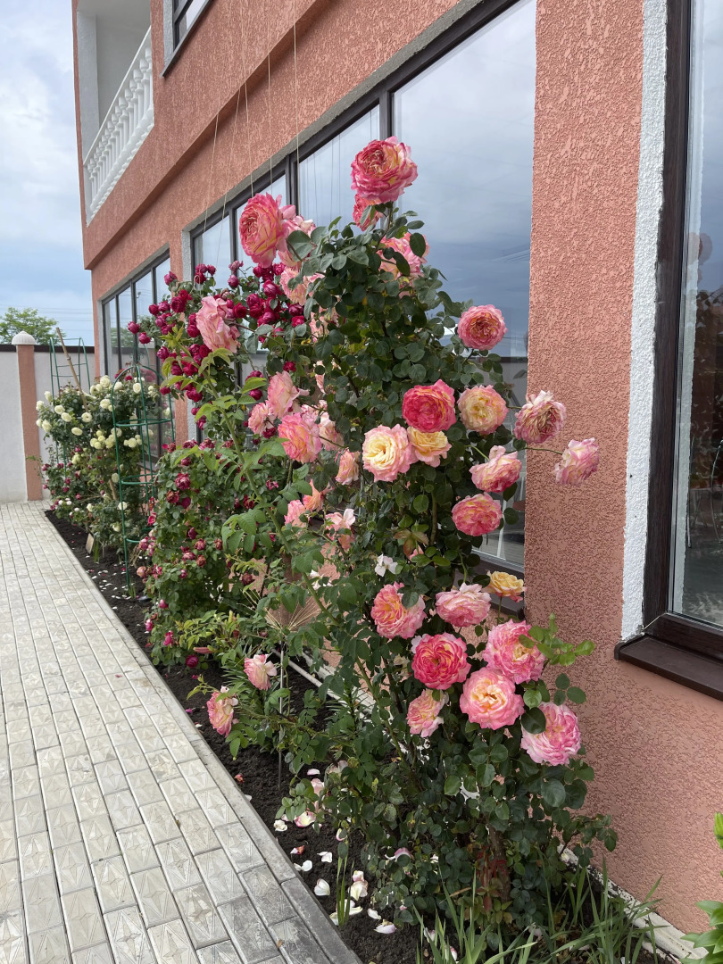 Гостевой дом Бриз 55