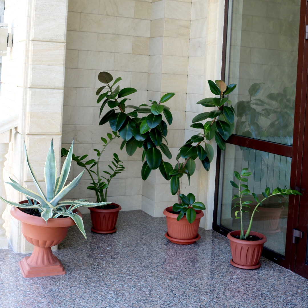 Отель Кристалл