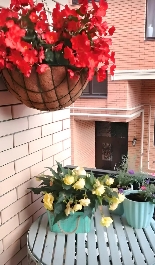 Апартаменты Ф.Е.Я.