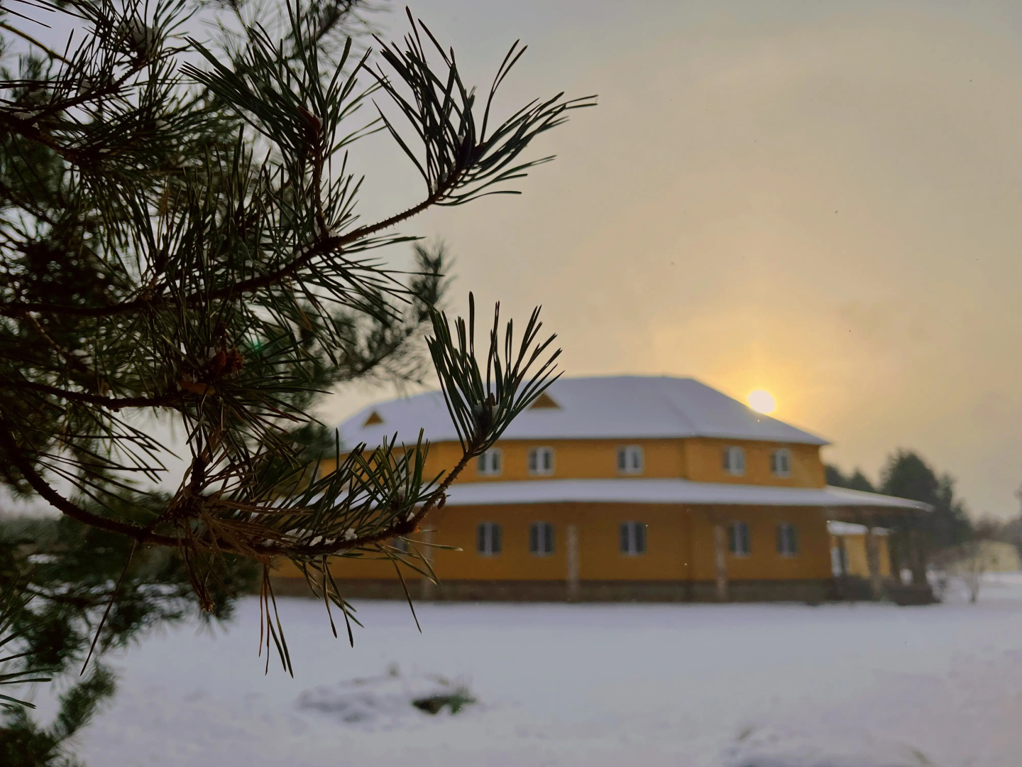 Парк-отель Чеснава