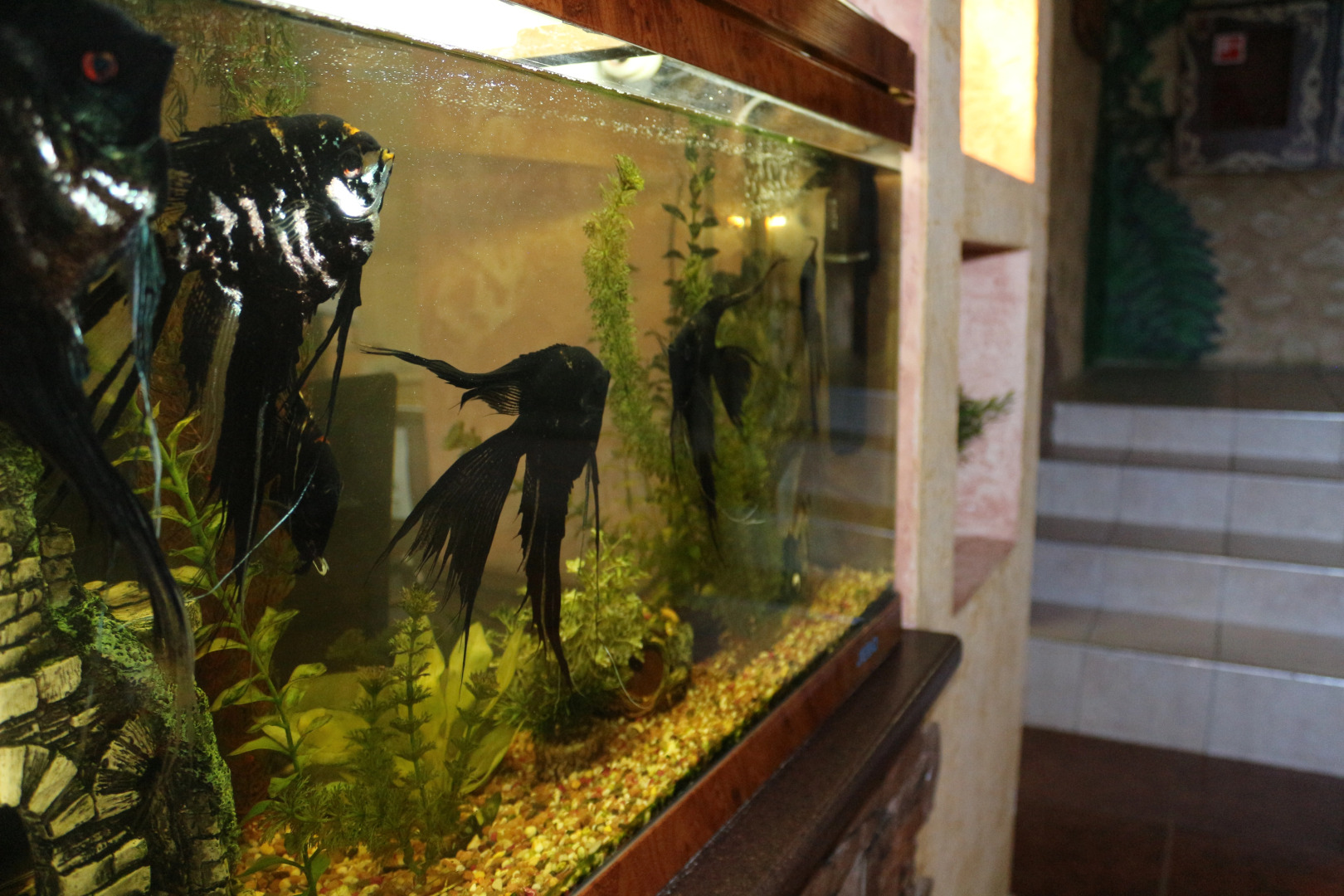 Отель Гостиный Двор