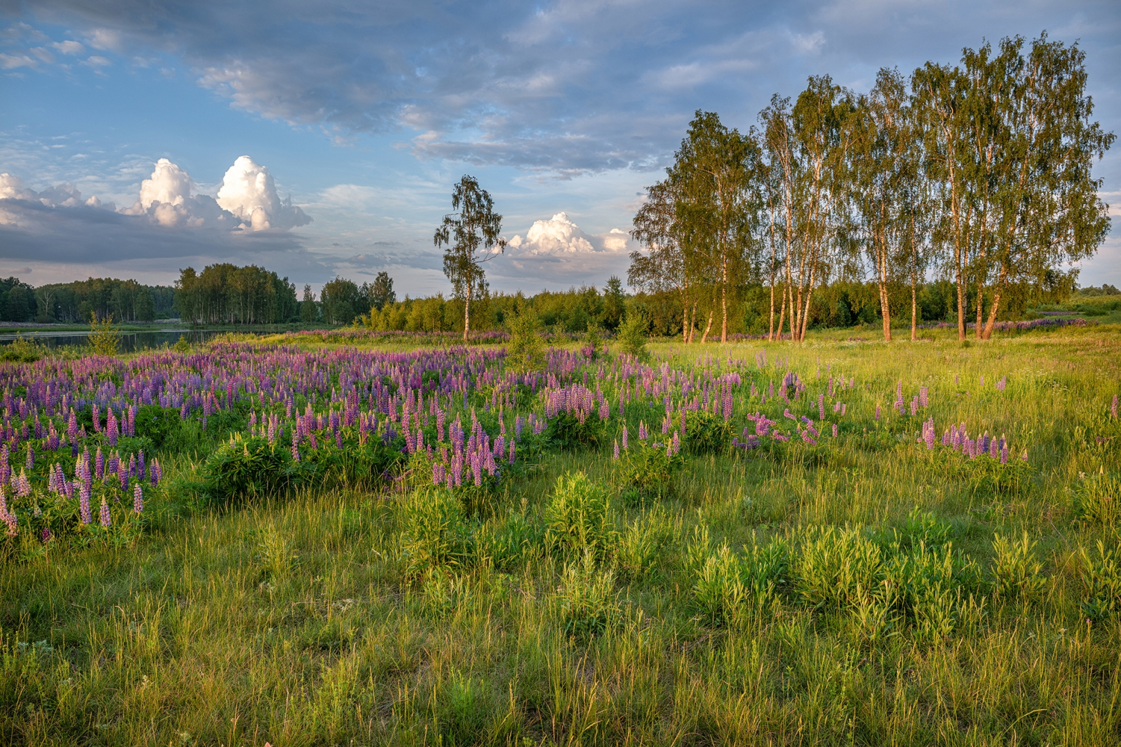 Частный дом с камином Речная Заимка