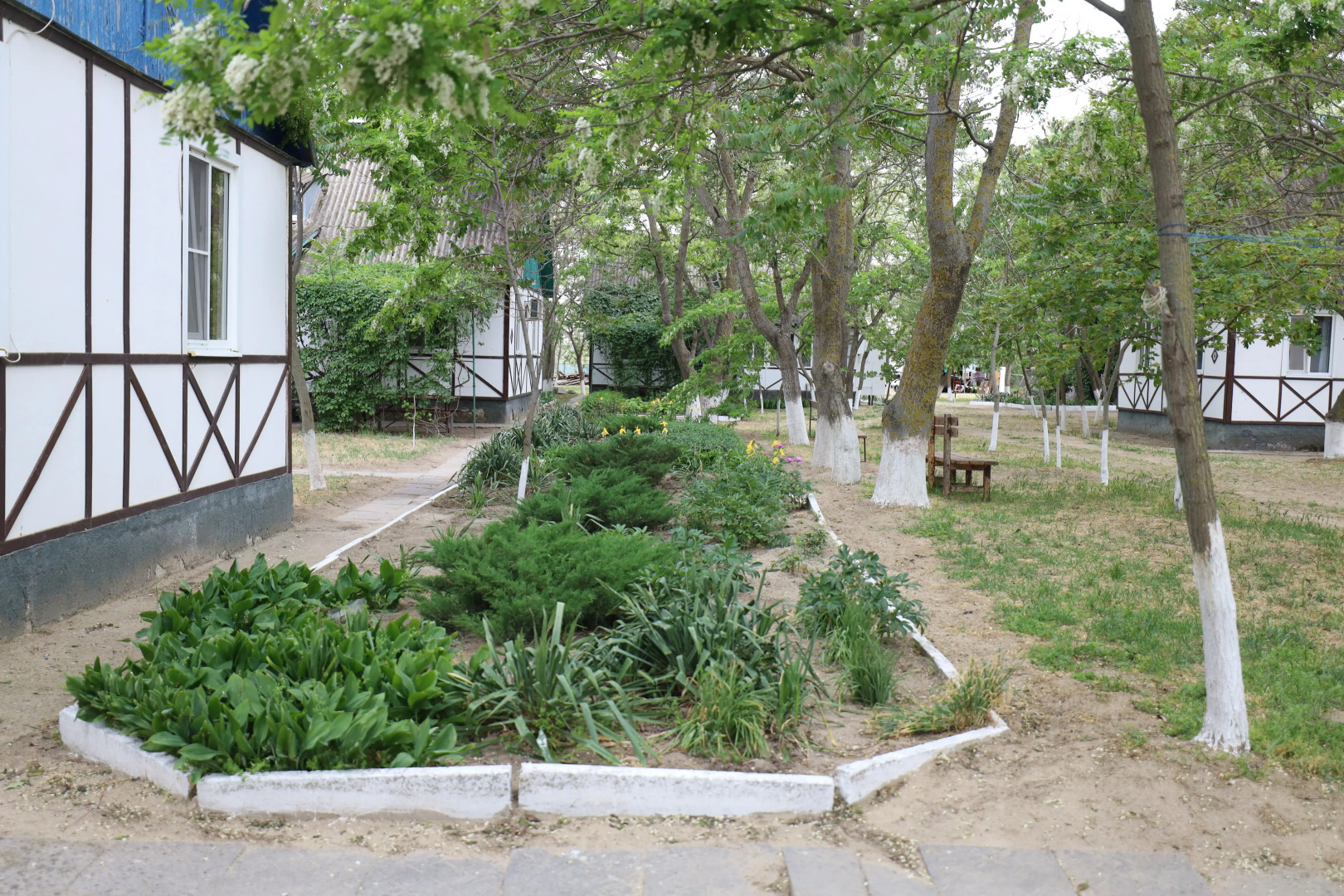 База отдыха Оазис