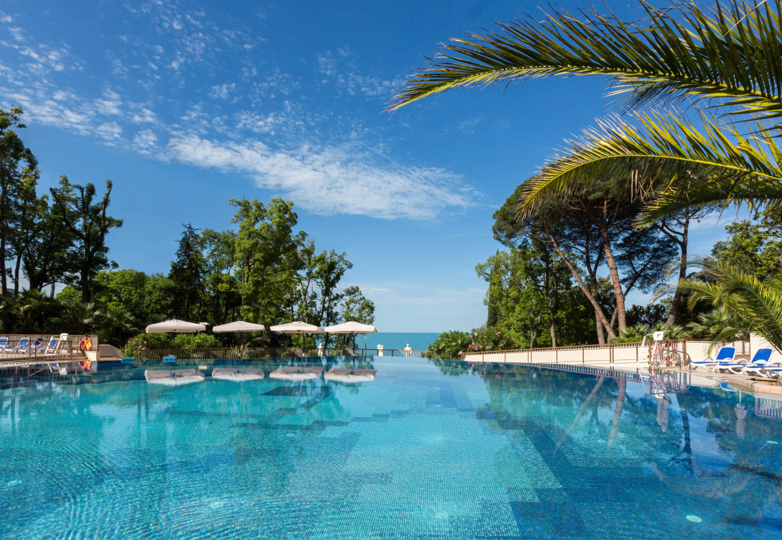 Отель Swissôtel Resort Sochi Kamelia