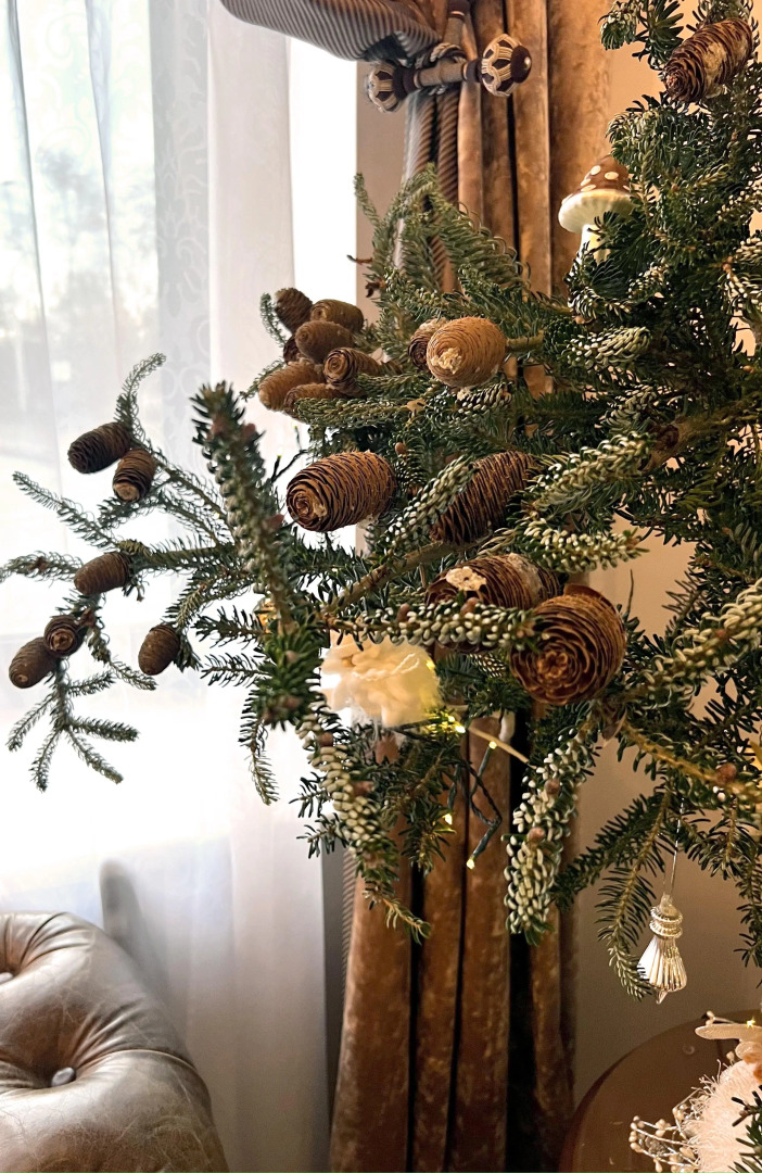 Отель Традиция