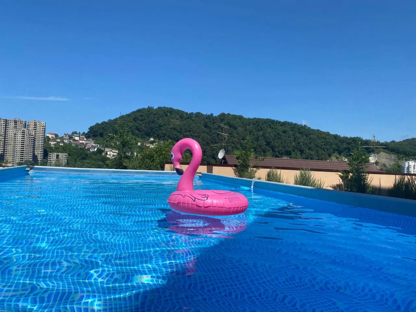 Отель Династия