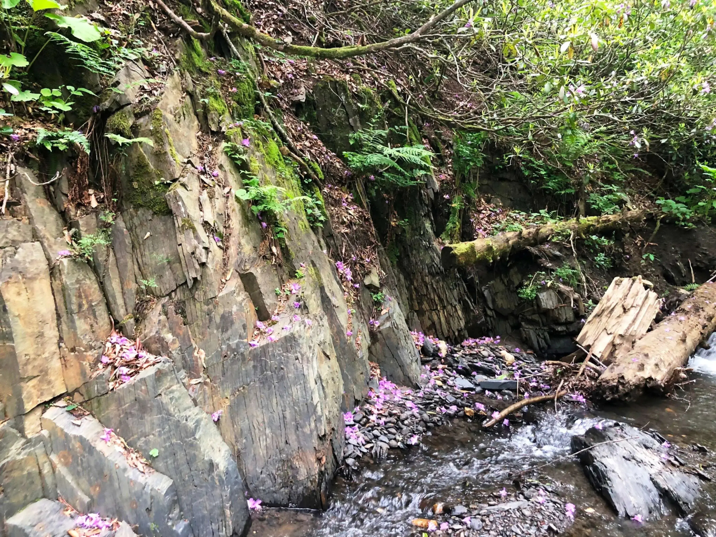 База отдыха Панорама