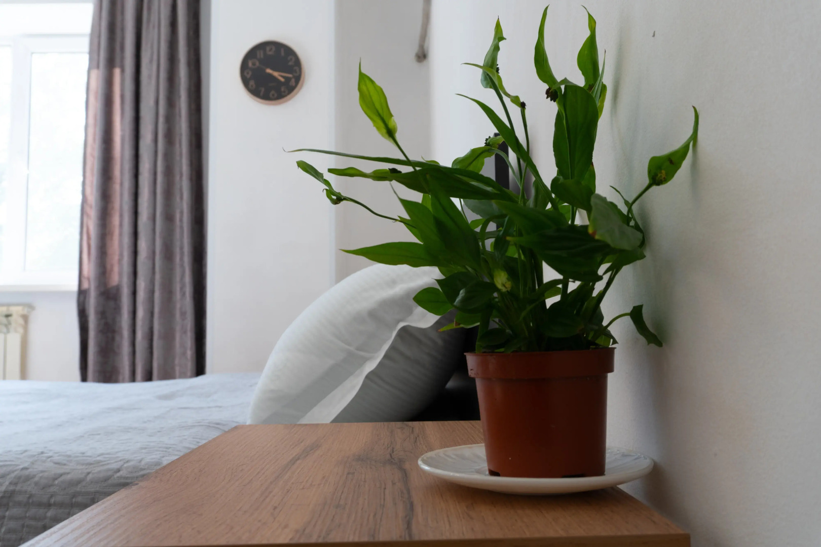 Квартира Уютная студия в центре города для 2-х гостей