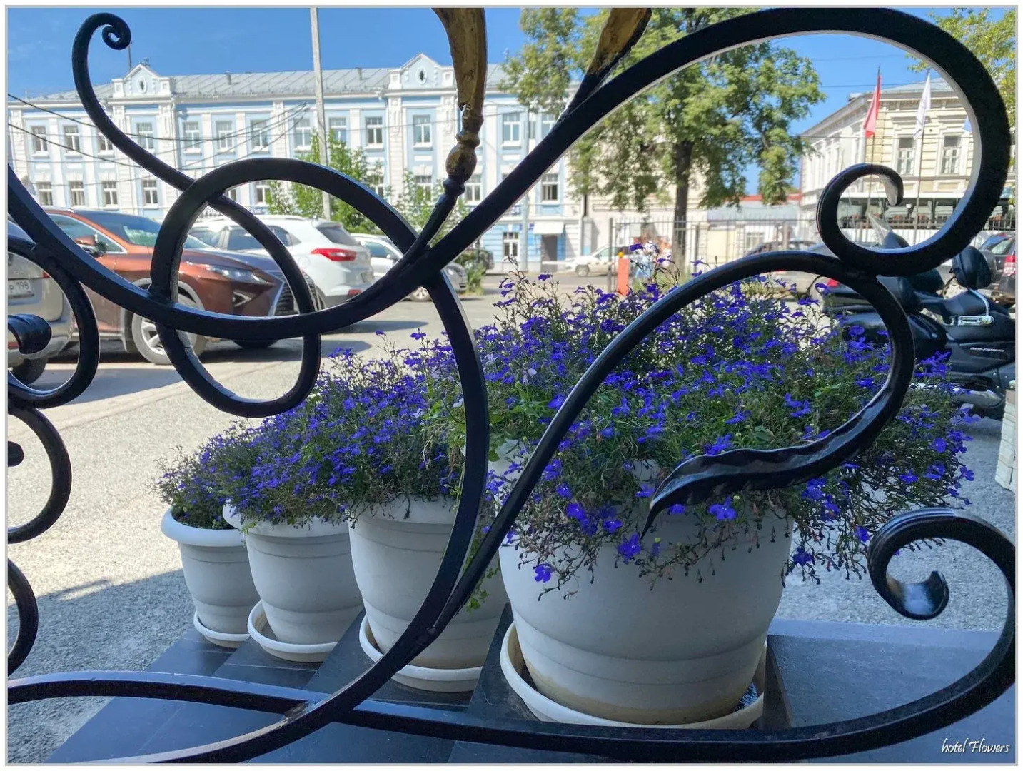 Отель ЦветЫ