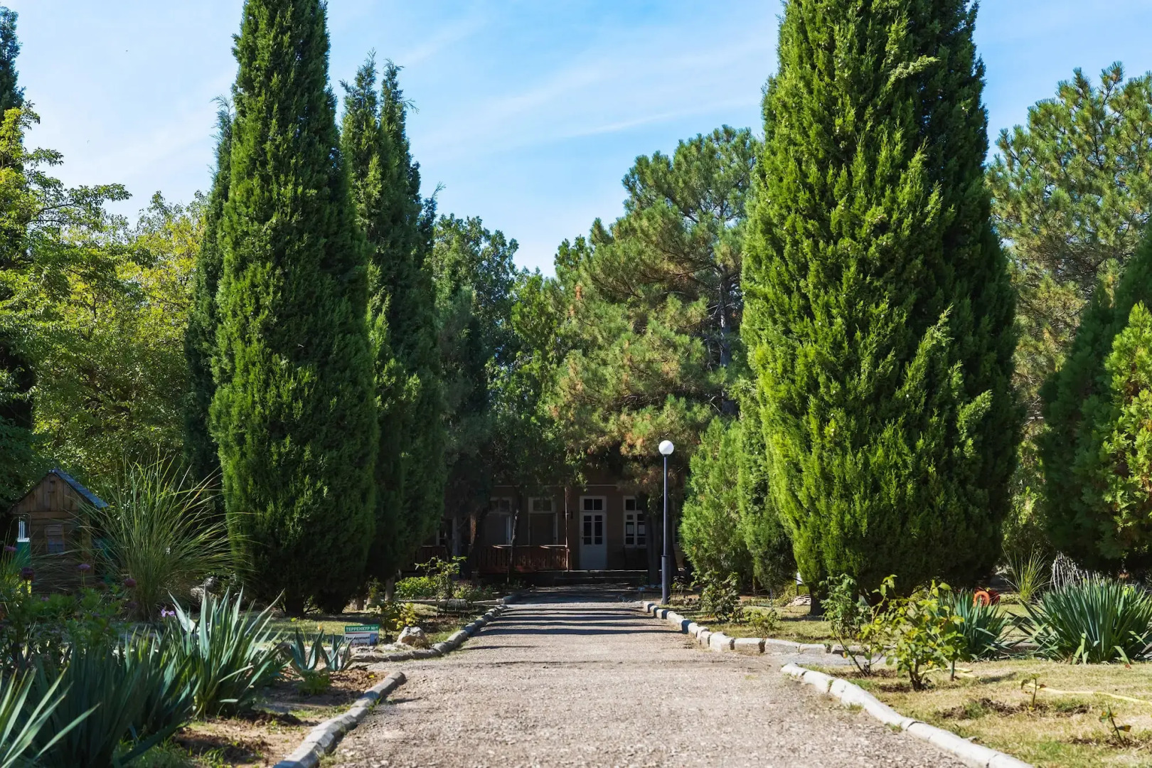 Санаторий Прибой