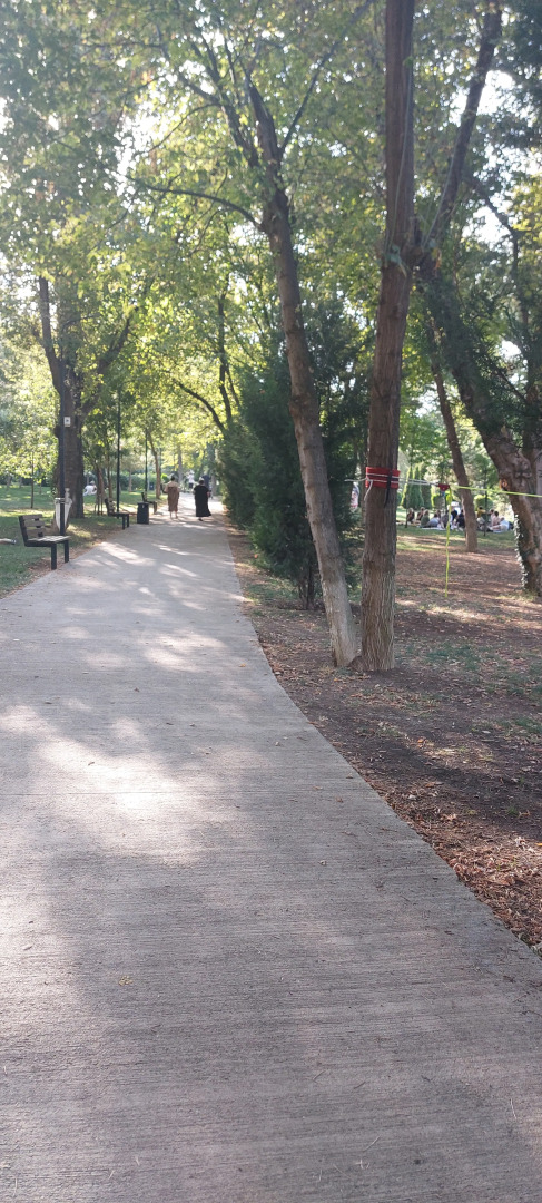 Апартаменты Kiwi